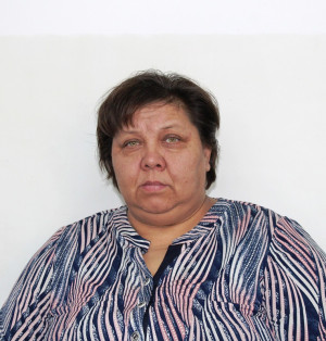 Новикова Елена Владимировна Новикова Елена Владимировна
